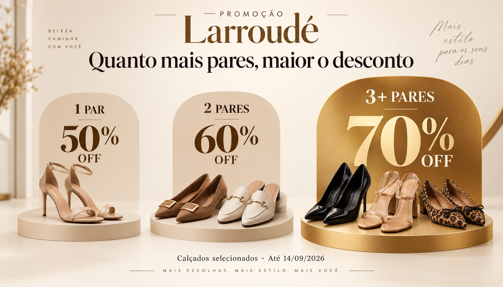 Promoção Larroudé